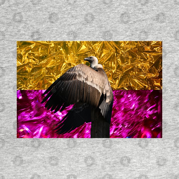 Vulture bicolor II / Swiss Artwork Photography by RaphaelWolf